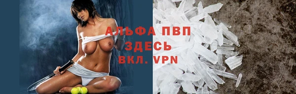 гашик Нягань