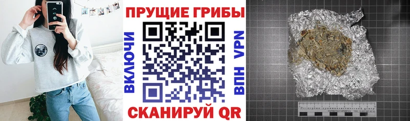 Псилоцибиновые грибы прущие грибы  Котлас 