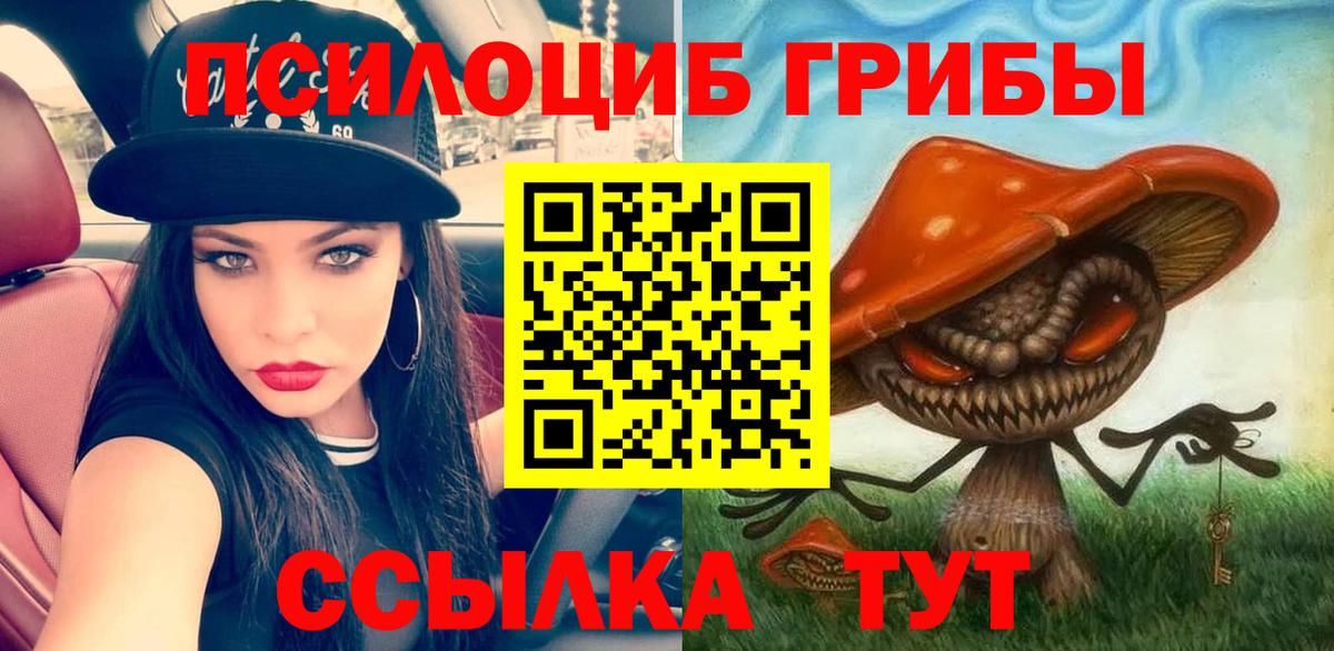 как найти   Галлюциногенные грибы Psilocybine cubensis  Вход с VPN  Котлас  Галлюциногенные грибы Psilocybe 