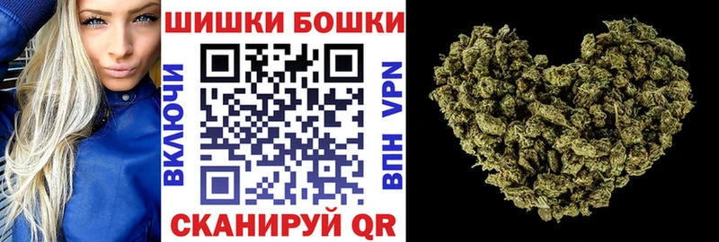 Бошки Шишки марихуана  закладка  Котлас 